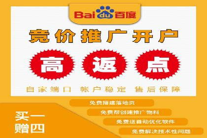 行业标杆的SEM竞价营销案例研究